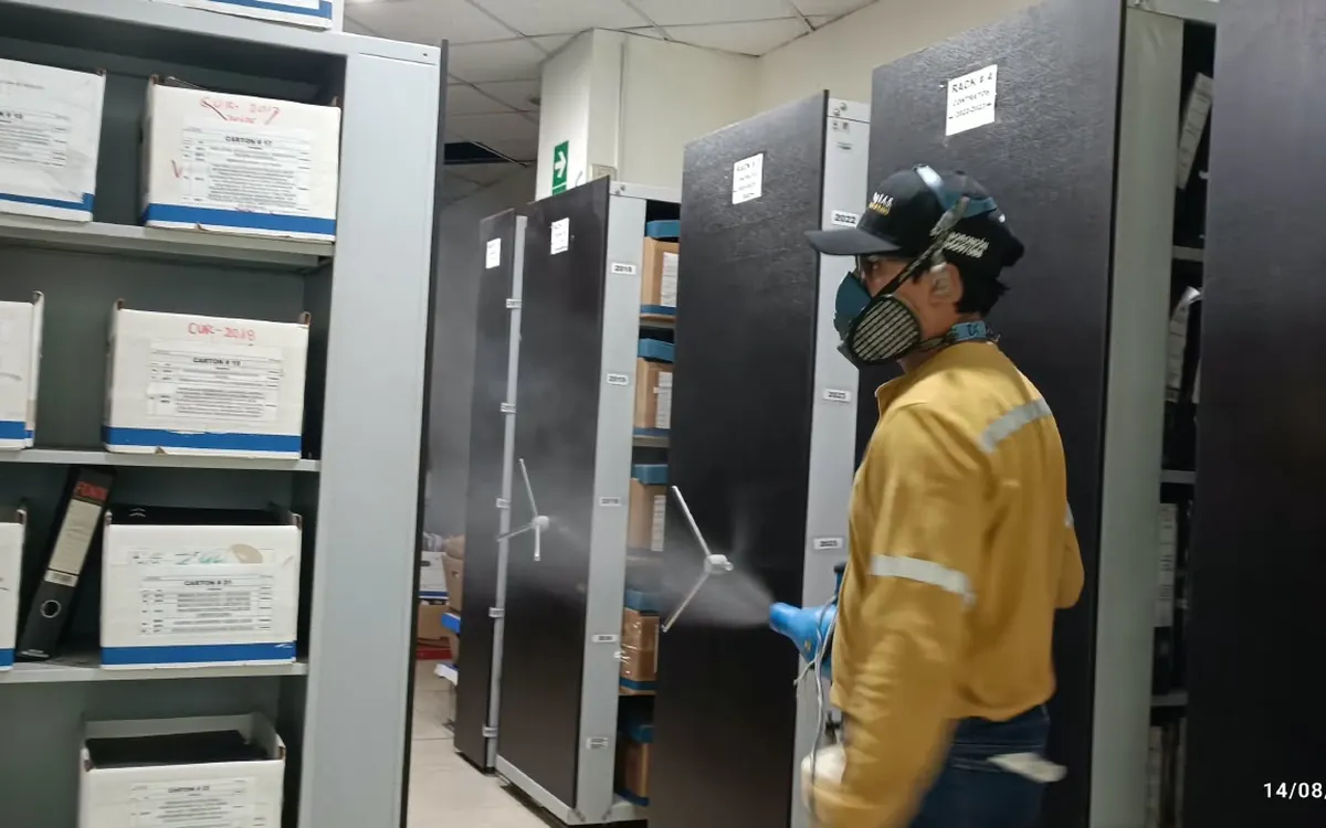 Tratamiento en archivo de oficinas – TERMI PLAG