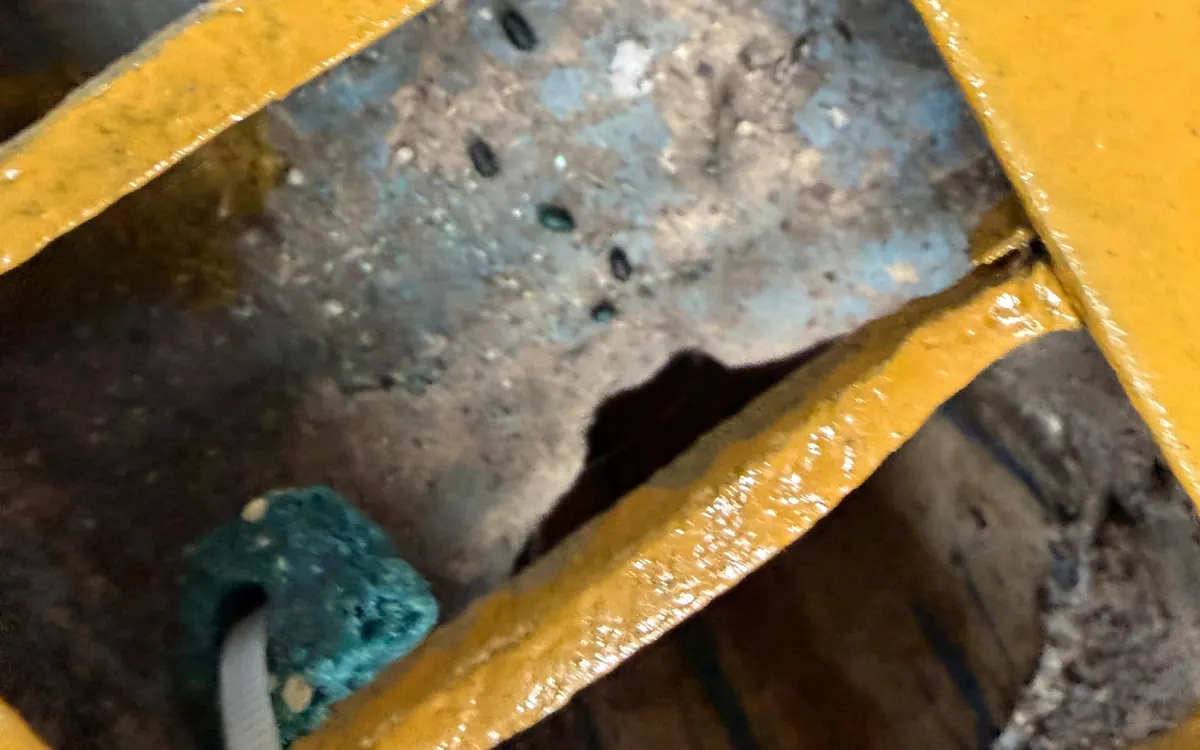 Cebo asegurado en punto crítico – TERMI PLAG