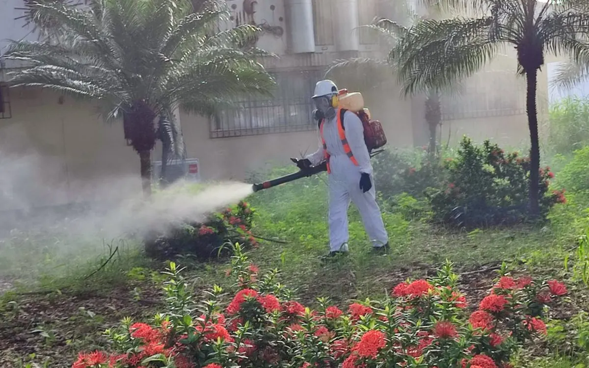Control de mosquitos en áreas verdes – TERMI PLAG