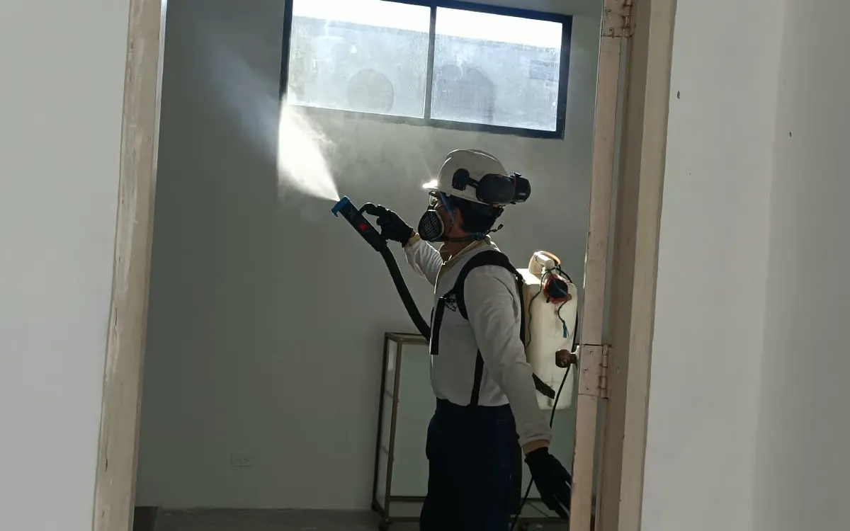 Tratamiento de pasillos y áreas comunes – TERMI PLAG