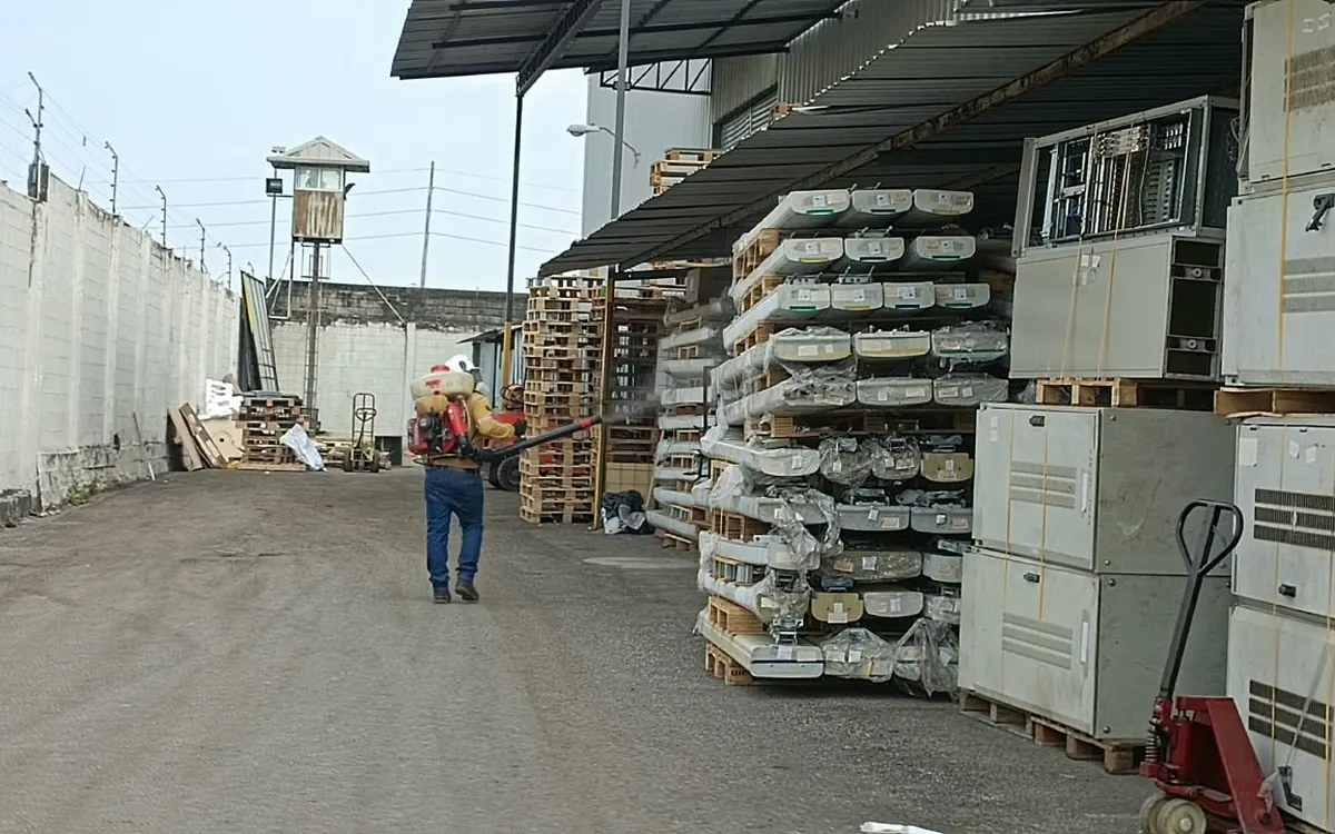 Tratamiento en patio logístico – TERMI PLAG
